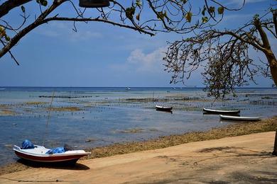 Sandee Mangrove Point Photo