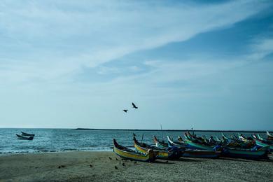 Sandee Parappanangadi Beach Photo