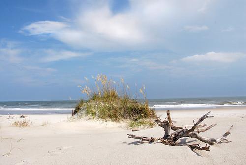 Sandee Hammocks Beach State Park