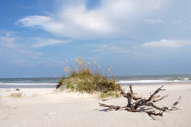 Sandee Hammocks Beach State Park Photo