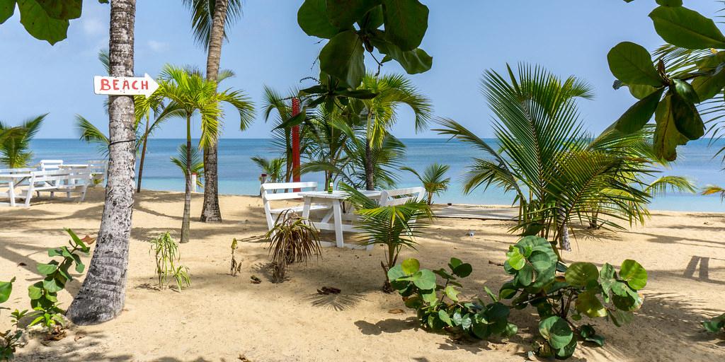Sandee Playa Las Ballenas
