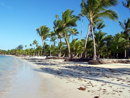 Sandee Punta Beach Photo