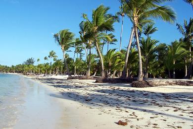 Sandee Punta Beach Photo