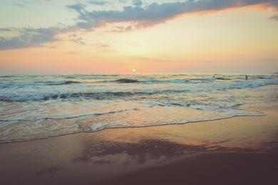 Sandee Headys Beach Photo