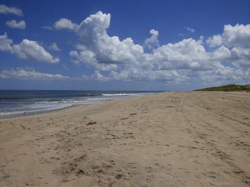 Sandee - False Cape State Park Beach