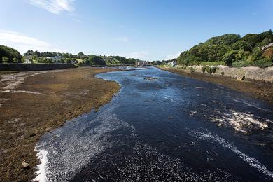 Sandee Newport River - Public Access Northwest Of Bridge
