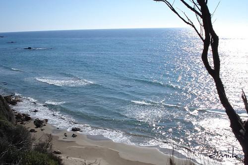 Sandee - Prasoudi Beach