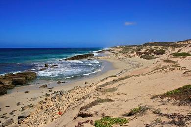 Sandee Lucy's Beach