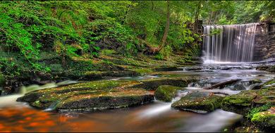 Sandee Burnt Mills Creek