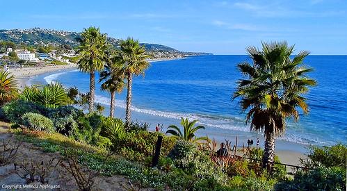 Sandee Surfside Beach Photo