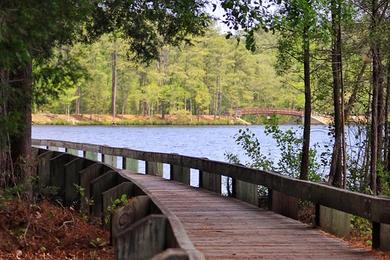 Sandee Cheraw State Park