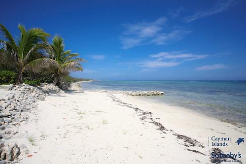 Sandee - Bloody Point Beach