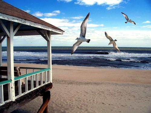 Sandee Bradley Beach
