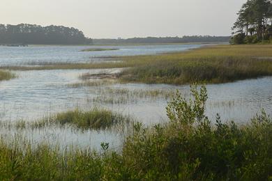 Sandee Beachwalker Park Photo