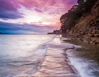 Sandee Murray Shores