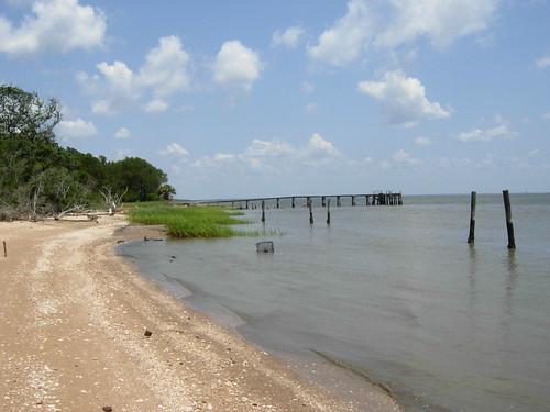 Sandee - Georgetown County Beach