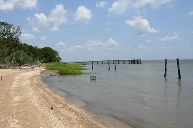 Sandee Georgetown County Beach Photo