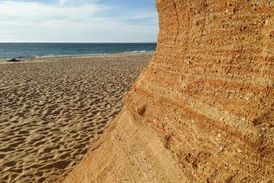 Sandee Most Polluted Beaches in California
