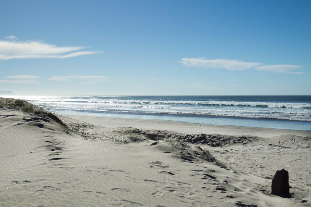 Sandee Fort Stevens State Park Beach Photo