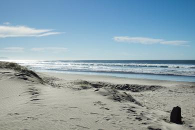 Sandee Fort Stevens State Park Beach Photo