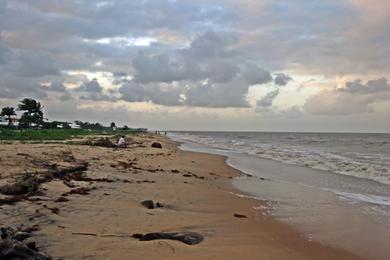 Sandee Dog Friendly Beaches in French Guiana