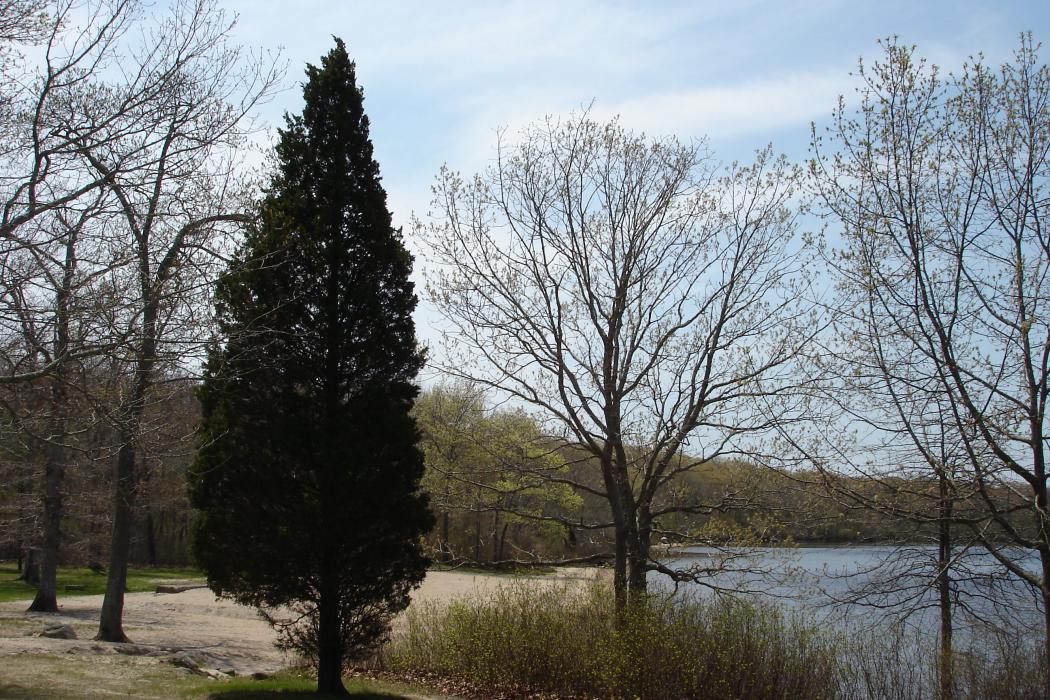 Sandee Burlingame State Park