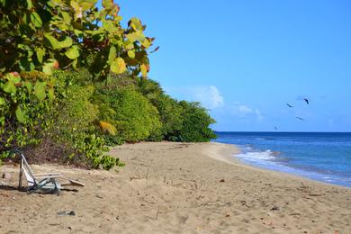 Sandee Best Surfing Beaches in the United States Virgin Islands