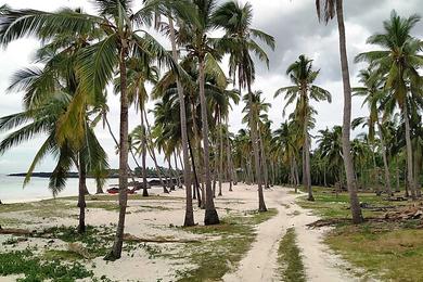 Sandee Best Dog Beaches in Comoros