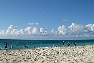 Sandee Best Dog Beaches in the Turks and Caicos