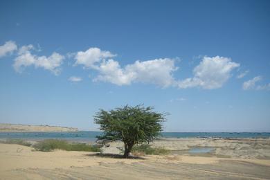 Sandee Most Dangerous Beaches in Bahrain