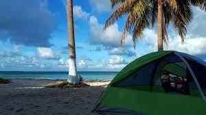 Sandee Best Camping Beaches in Japan 