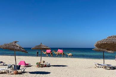 Sandee Best Family-Friendly Beaches in Tunisia