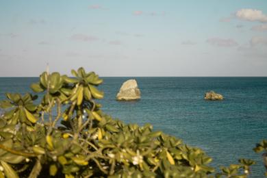 Sandee Most Crowded Beach in Bermuda