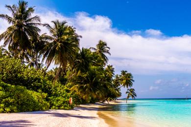 Sandee Best Disability Beaches in the Maldives