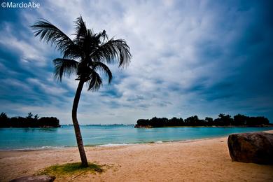 Sandee Best Beaches in Singapore