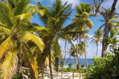 Sandee Best Family Friendly Beaches in Guadeloupe