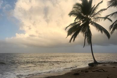 Sandee Best Beaches in French Guiana