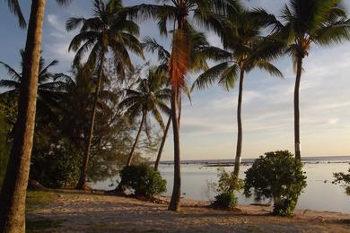 Sandee Best Beaches in the Cook Islands