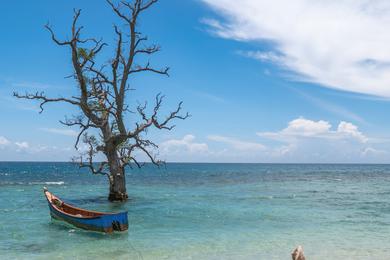 Sandee Best Beaches with Disability Access in Brunei