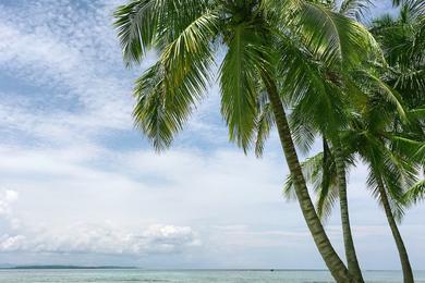 Sandee White Sand Beaches Tonga