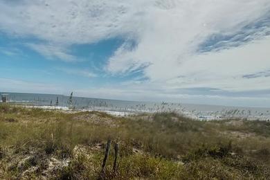 Sandee Carolina Beach Head A