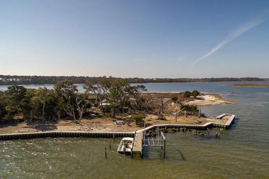 Sandee Brown's Island Public Beach Photo