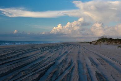 Sandee - Core Sound - Shell Point Off Harkers Island