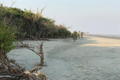 Sandee Best White Beaches in Uzbekistan