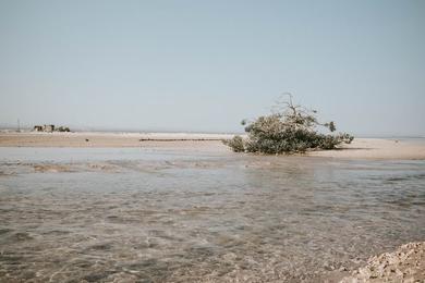 Sandee Best Beaches in Berbera