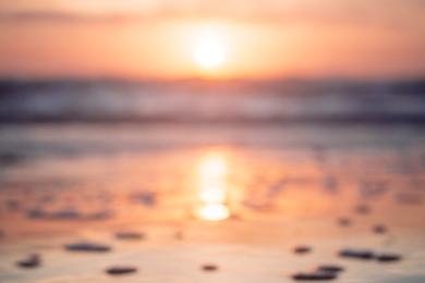 Sandee Best Beaches in St. Helena