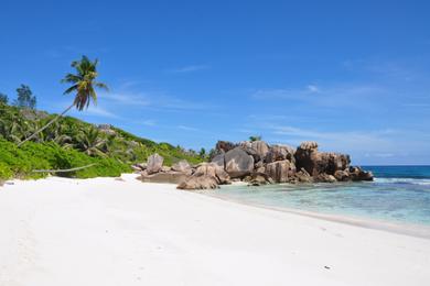 Sandee White Sand Beaches in Chile