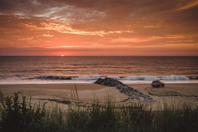 Sandee Best State Beaches in Delaware