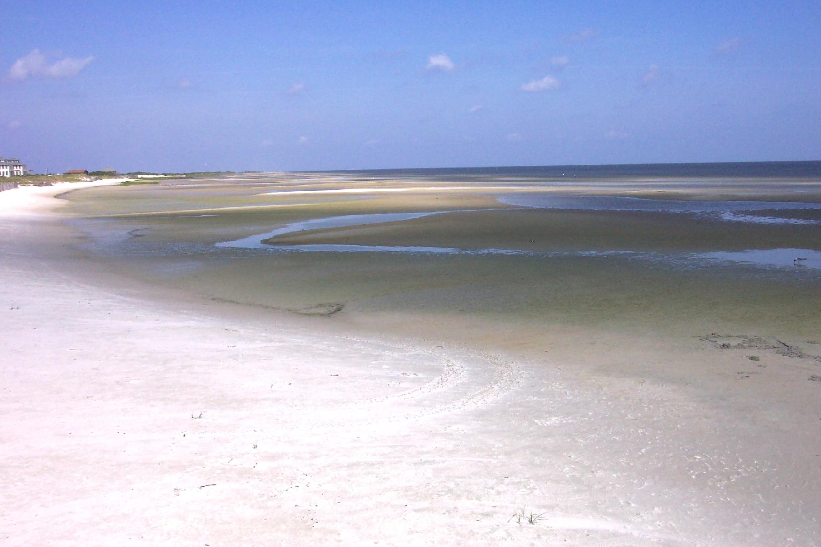 Sandee - Cedar Island - Beach Area Southeast Of Wildlife Ramp