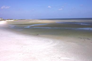 Sandee Cedar Island - Beach Area Southeast Of Wildlife Ramp